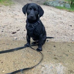 Meet your Posher, Matthew